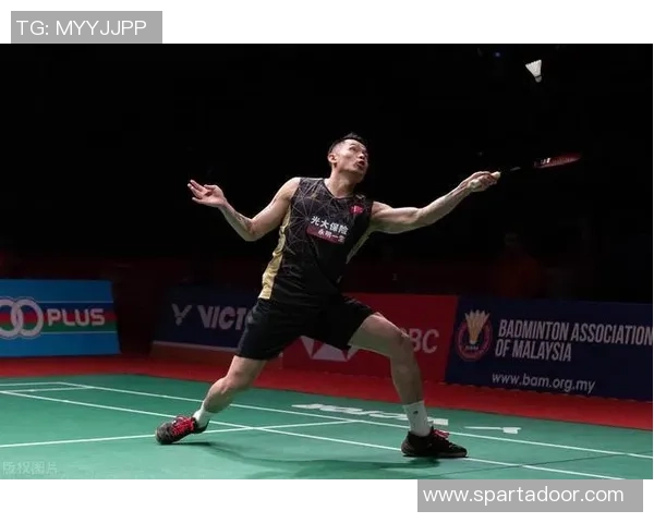 南京羽毛球队总决赛技术分析与表现评估全面解读